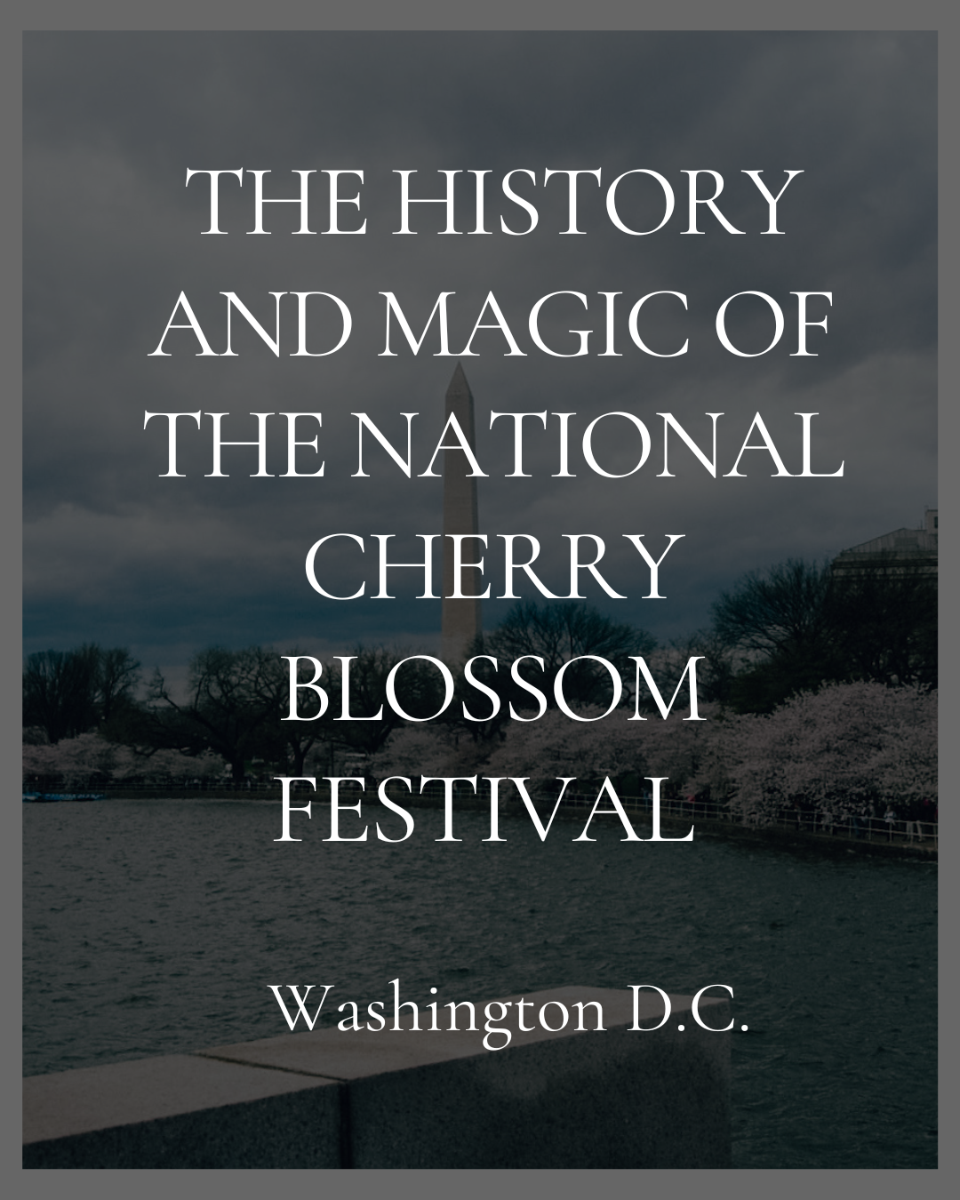 The History and Magic of the National Cherry Blossom Festival