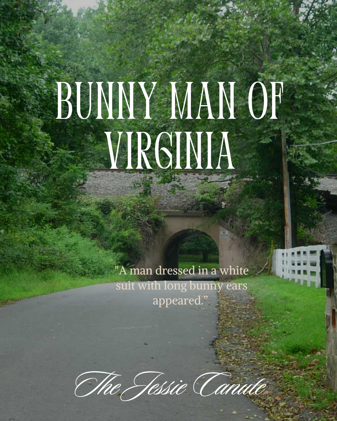 Bunny Man Of Virginia