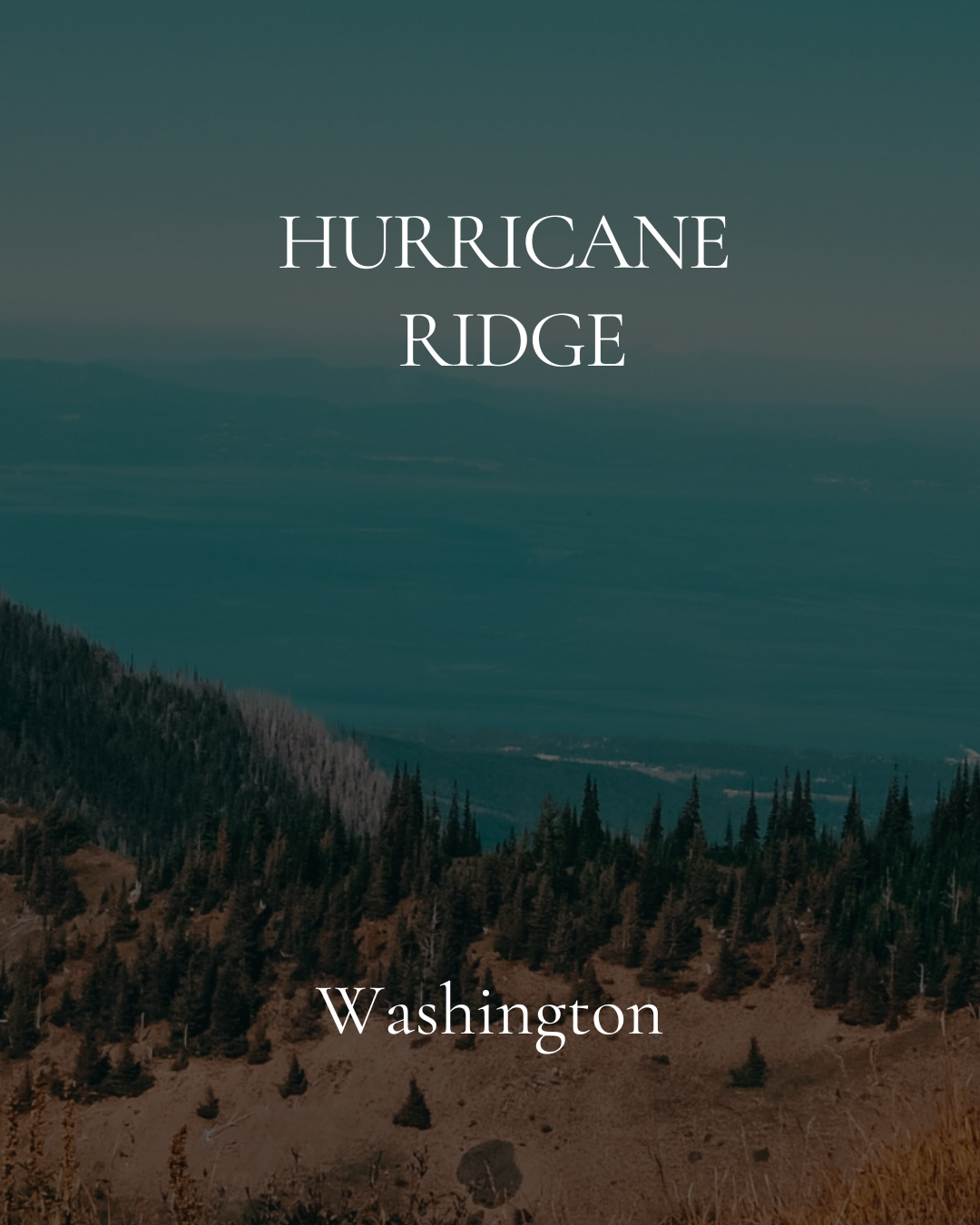 Hurricane Ridge