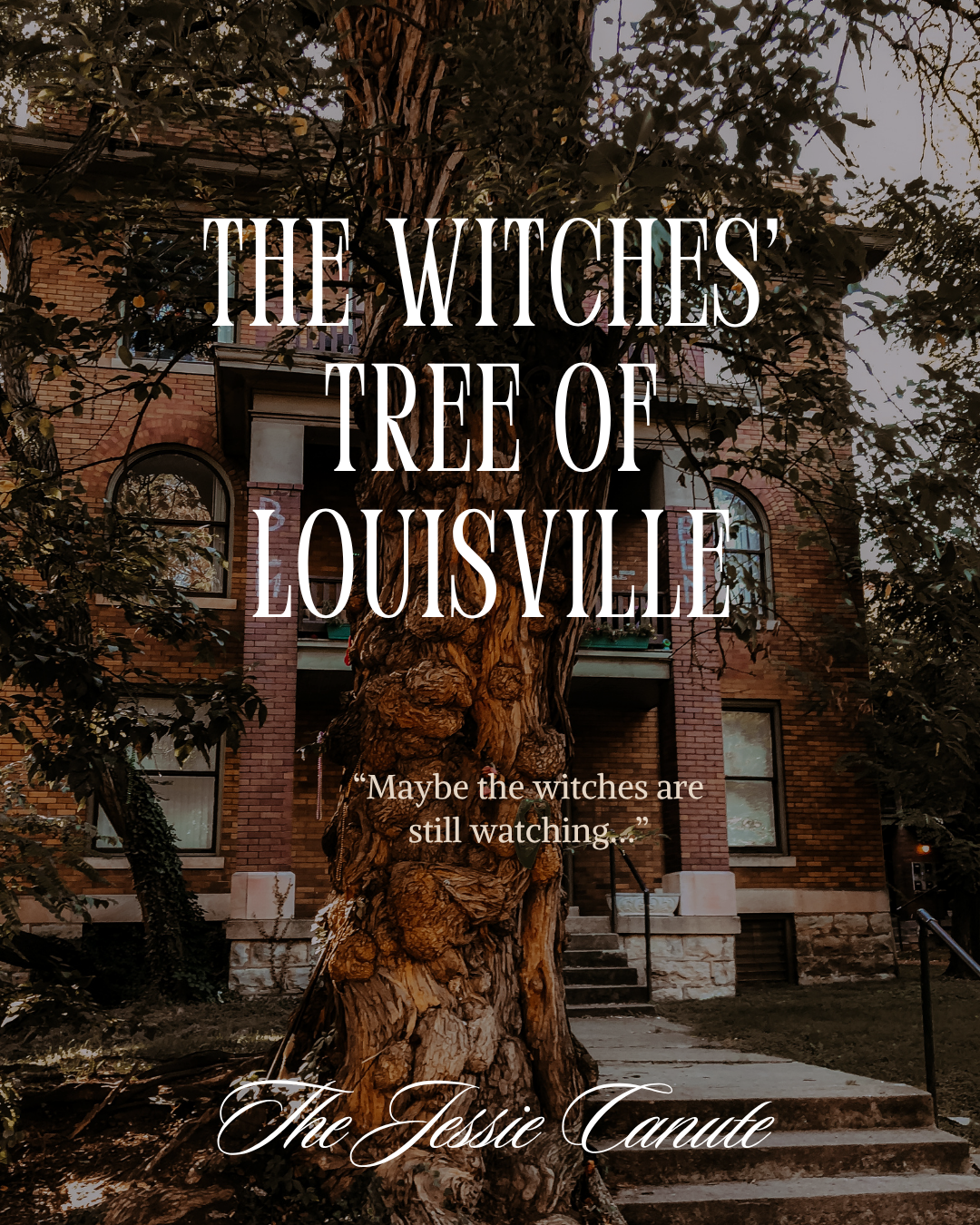 The Witches’ Tree of Louisville: Curses, Tornadoes, and Ghosts